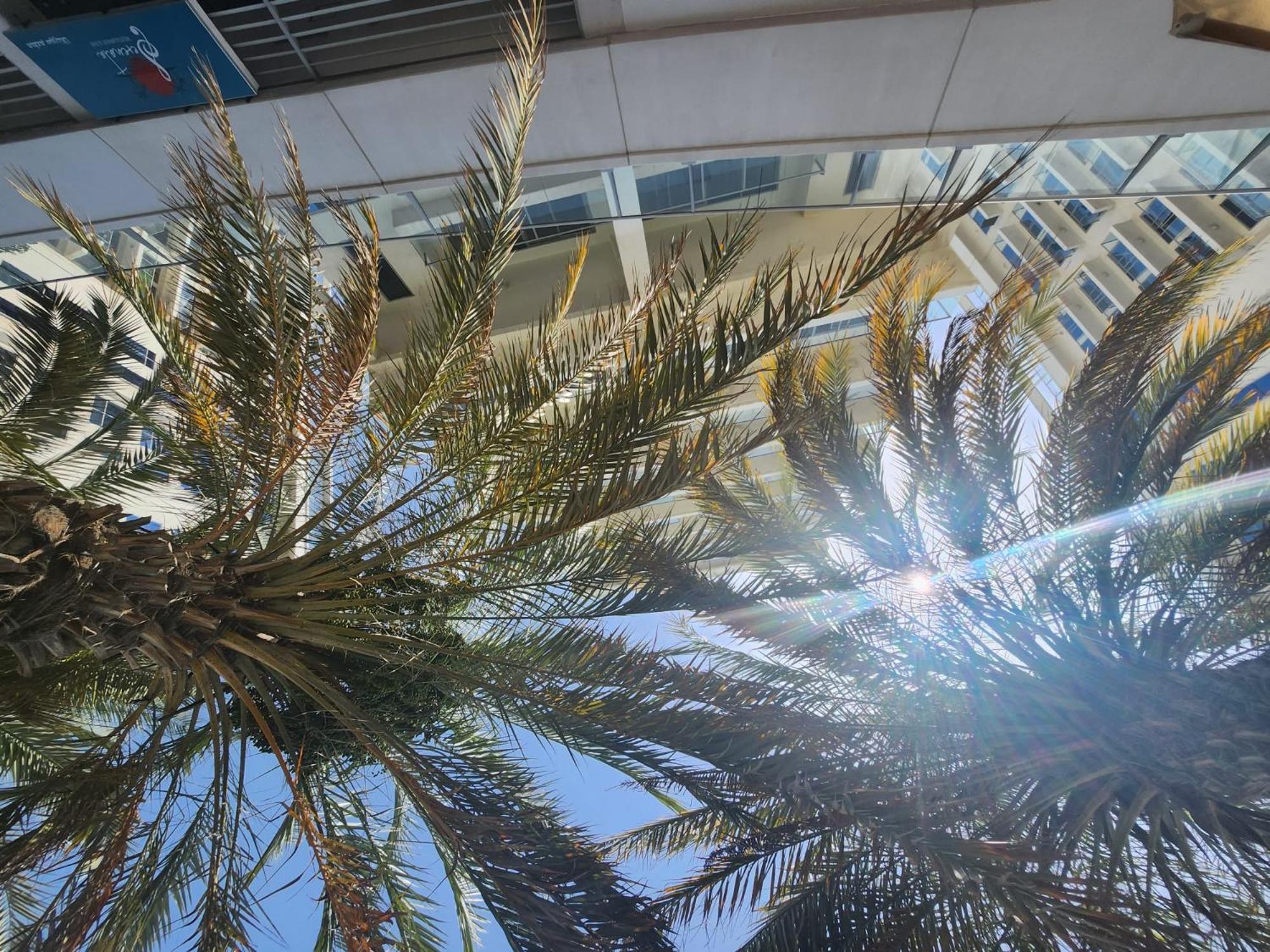 Marjan Island Beautiful Apartment Sea Side View Beach Luxury Rooms Ras Al Khaimah Uae Exteriér fotografie