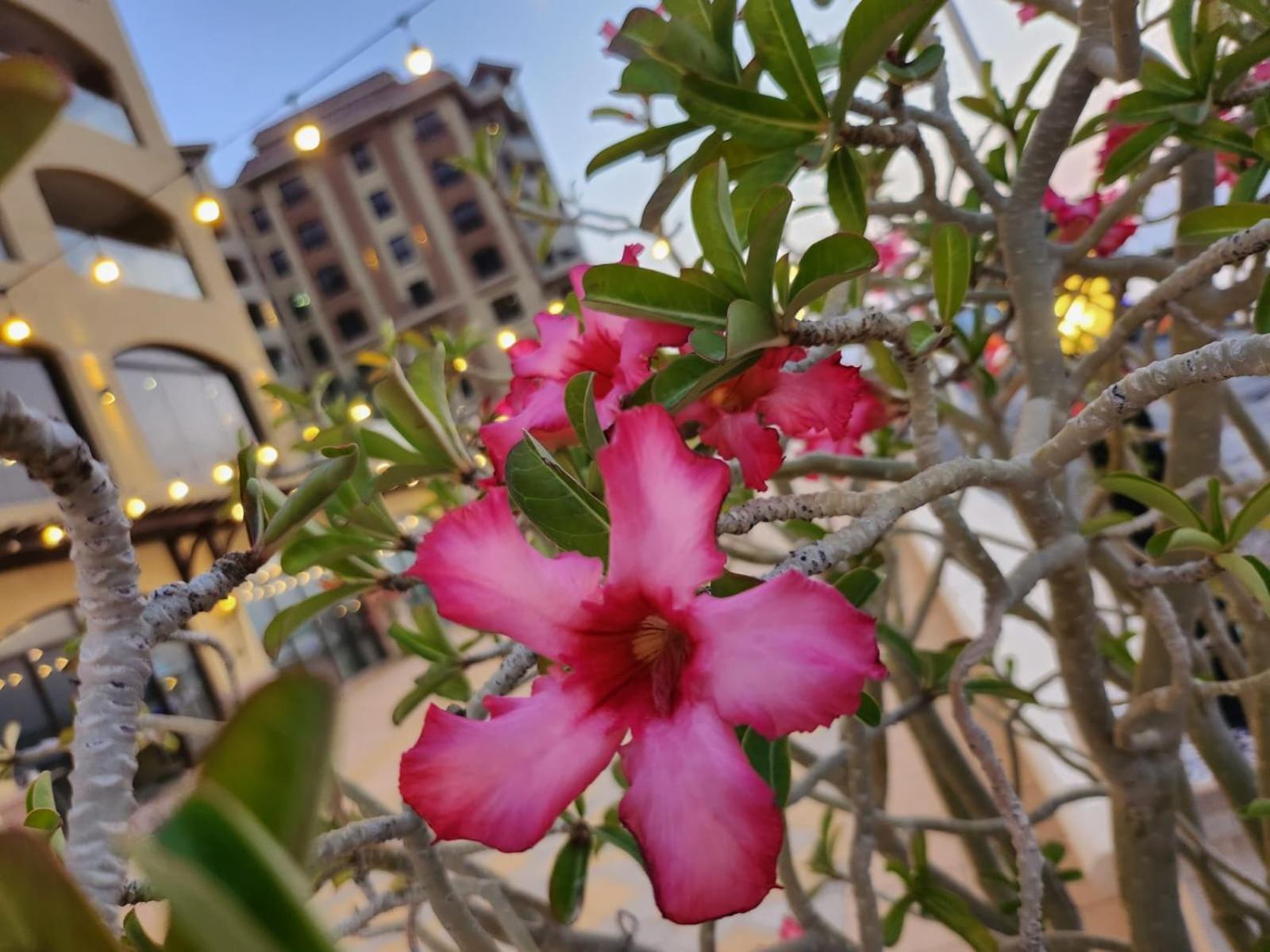 Marjan Island Beautiful Apartment Sea Side View Beach Luxury Rooms Ras Al Khaimah Uae Exteriér fotografie